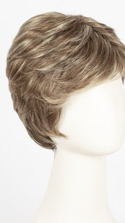 G13 + CAPPUCCINO MIST | Dark Blonde with Pale Highlighting on Top