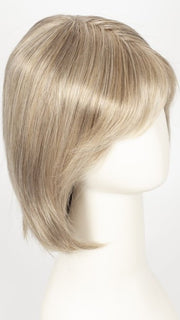 G17+ VANILLA MIST | Cool, ash blonde with lighter tones through the top and sides, progressing to a deeper ash blonde nape