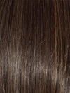 DARK BROWN HL | A Blend of Dark Brown, Strawberry Light Auburn and Soft Chunky Medium and Dark Blonde Highlights