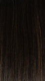 RH4/10SS SHADED JAVA | Off Black with Dark Brown highlights from dark roots to ends
