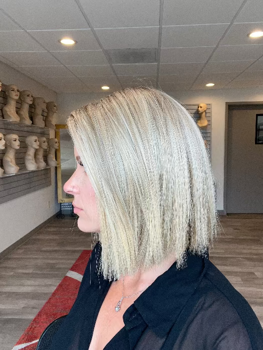 Santa Monica | Synthetic Lace Front Wig (Mono Part  display picture 1