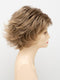 24/18 FROSTED | Light Brown with Wheat Blonde blended highlights