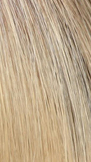 02-8 | Beige Blonde mixed with Off Black and Dark Roots
