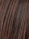 DARK AUBURN ROOTED 33.130.2 | Dark Auburn and Deep Copper Brown with Black/Dark Brown Blend with Shaded Roots