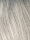 MEDIUM GREY | Salt and Pepper Grey 50% Medium Brown 50% Grey
