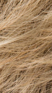 CARAMEL MIX | Dark Honey Blonde, Lightest Brown, and Medium Gold Blonde Blend