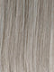 GL 51-56 SUGARED PEWTER | 80% Silver Grey with 20% Brown