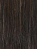 2/4R | Very Dark Brown with highlights
