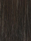 2/4R | Very Dark Brown with highlights