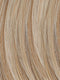 14/1001 | Warm Blonde with Platinum Blonde and Multi-Tonal Blend