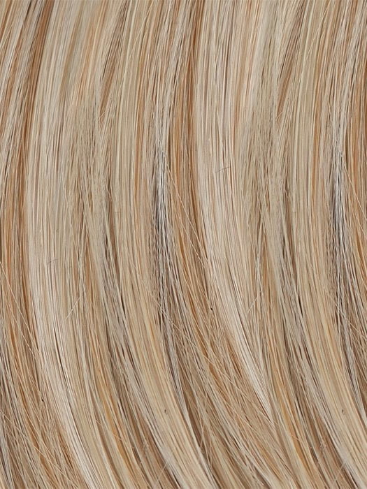 14/1001 | Warm Blonde with Platinum Blonde and Multi-Tonal Blend