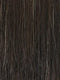 2/4R | Very Dark Brown with highlights