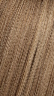 8/14T Light Chestnut Brown Blended with Dark Ash Blonde, Dark Ash Blonde Tips