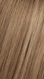 8/14T | Light Chestnut Brown tipped w/ Honey Blonde