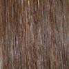10/12 | Medium Golden Brown Blended with Light Golden Brown