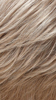 101F48T | Soft White Front, Light Brown with 75% Grey Blend with Soft White Tips