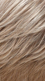 101F48T | Soft White Front, Light Brown with 75% Grey Blend with Soft White Tips