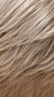 101F48T  | Soft White Front, Light Brown with 75% Grey Blend with Soft White Tips 