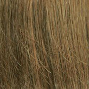 10/16 Medium Golden Brown tipped with Dark Ash Blonde