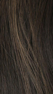 12HL6 6 BASE 12 Highlight | Dark Brown mix w. Light Brown Highlights