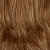 Golden Brown w/ Light Gold Blonde Highlights