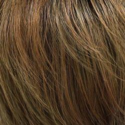 12/27 Light Golden Brown blended with Strabery Blonde