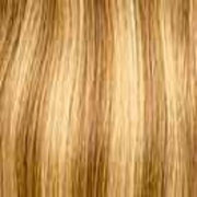 14/24F Tan Beige Dk. Blonde w/Lt. Ash Blonde