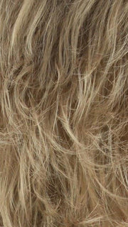 16GR Dark Ash Blonde with Dark Ash Blonde and Bleach Blonde Front