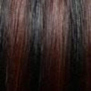 1BF33 | Off Black with Dark Auburn Highlight