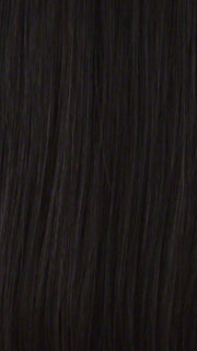 Color 1BH = OFF BLACK / MEDIUM DARK BROWN HIGHLIGHTS