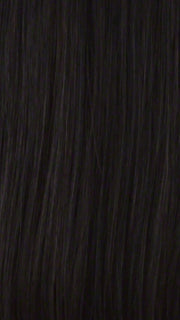 1BH | Off black with medium dark brown highlights