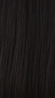 1BH | Off black with medium dark brown highlights