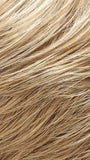 22F16  | Medium Natural Gold Blonde and Pale Natural Blonde Blend with Pale Natural Blonde Tips