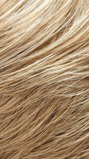 22F16  | Medium Natural Gold Blonde and Pale Natural Blonde Blend with Pale Natural Blonde Tips