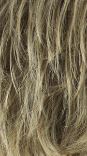 24B/18T Golden Blonde Blended with Ash Blonde, Ash Blonde Tips
