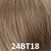 Color 24BT18 = Dk Ash Brown & Honey Blonde Blend, w/ Honey Blonde Tips