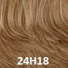 24H18 Light Ash Brown w/ Gold Blonde Highlights