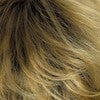 Color 26GR = Gold Blonde w/ Light Blonde Highlights and Brown Roots