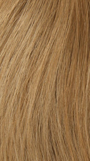 27/22 STRAWBERRY BLONDE | Light Blonde Blended with Light Brown and Red Highlights