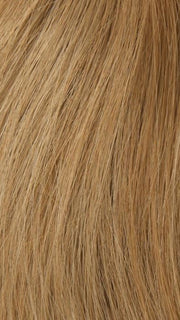 27/22 STRAWBERRY BLONDE | Light Blonde Blended with Light Brown and Red Highlights