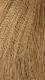 27/22 STRAWBERRY BLONDE | Light Blonde Blended w. Light Brown & Red Highlights