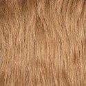 Color 27L