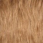 Color 27L