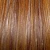 29T Honey Apricot Blonde (4 Color Blend)