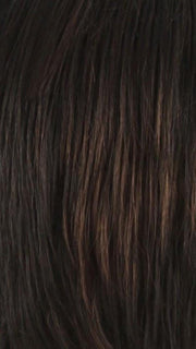 2F33 | Darkest Brown with Dark Auburn Highlight