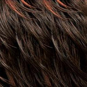 2F33 Darkest Brown (2) Base Frosted w/ Dark Auburn (33)