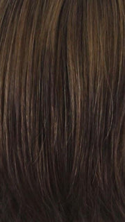 2FT27 | Darkest Brown with Strawberry Blonde Highlight and Tip