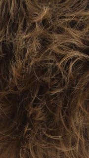 33B/27T Dark Auburn Blended with Strawberry Blonde, Strawberry Blonde Tips