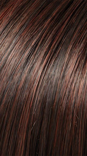 4/33 CHOCOLATE RASPBERRY TRUFFLE | Darkest Brown and Medium Red Blend