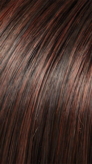 Color 4/33 CHOCOLATE RASPBERRY TRUFFLE | Darkest Brown and Medium Red Blend